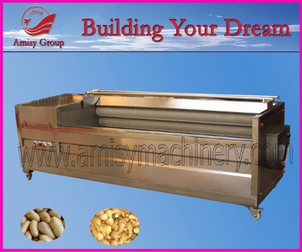 Ginger Peeling Machine, Peeling Machinery, Peeling Machine Supplier